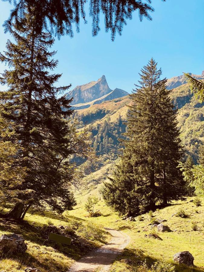 Am Schneewittchenberg